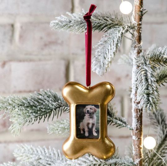 Gold Dog Bone Frame Ornament