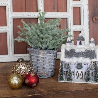 Topiary in Basket Base 10.5”