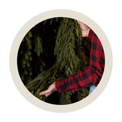 Our Top Real Touch Garlands of the Season