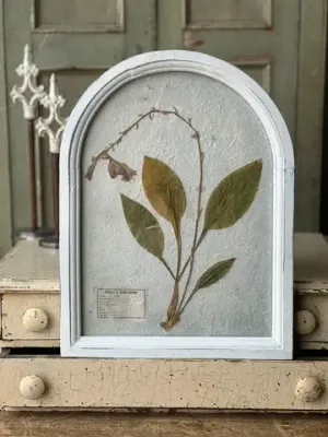 Edgewood Botanicals No. 3