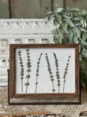 Meadow Glade Gatherings No. 2