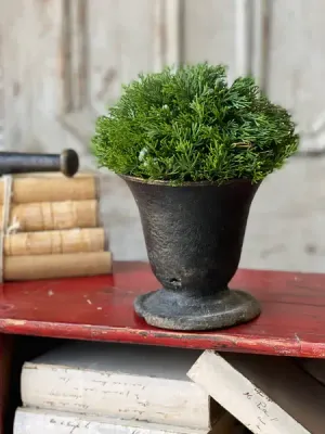 Dripping Cedar Half Sphere 10”