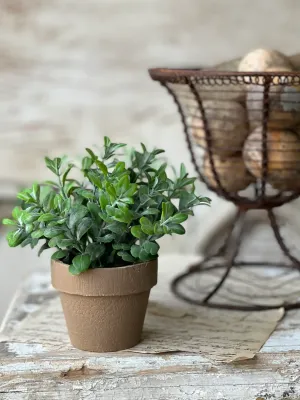 Gatehouse Faux Potted Herb Pot 1 6”