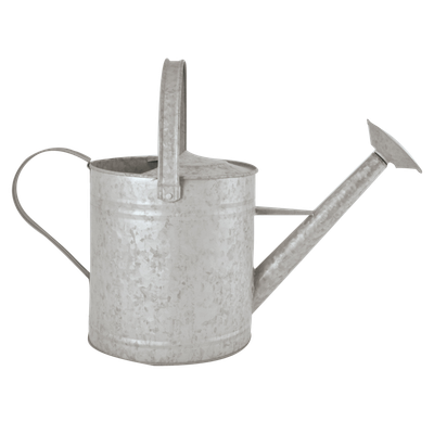 Old Zinc Watering Can .96 Gallon