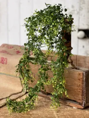 Ramble Vine Hanging 32”