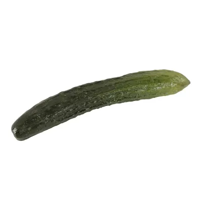 Artificial Faux English Cucumber 9.5”