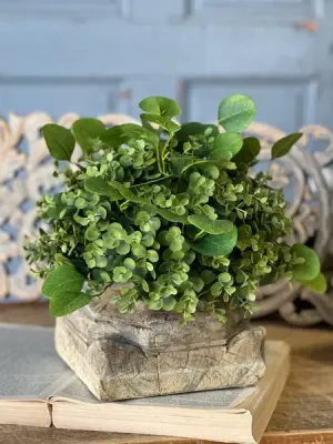 Ashford Eucalyptus Half Sphere 12"