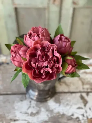 Peony Bundle 12” Garnet