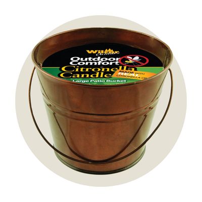 Insect &amp; Pest Control