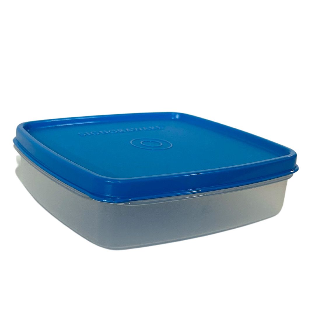 Smart and Slim Lunch Container 5.5" x 5", Color: Blue