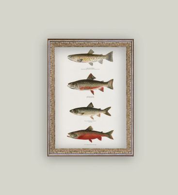 Vintage Trout Vintage Style Wall Art