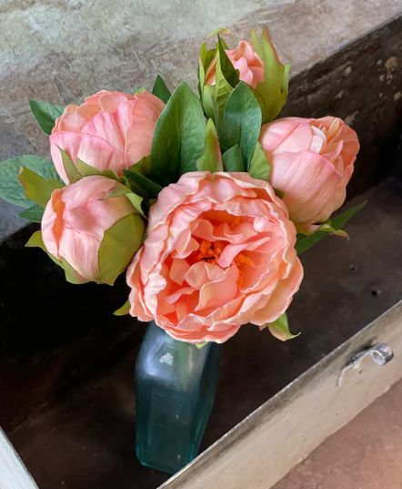Peony Bundle 11” Peach