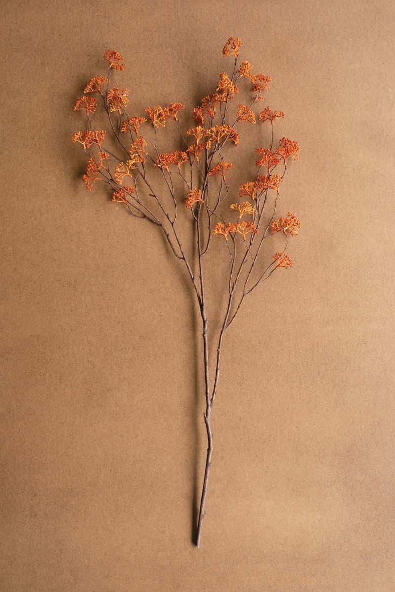 Rice Flower Stem Rust