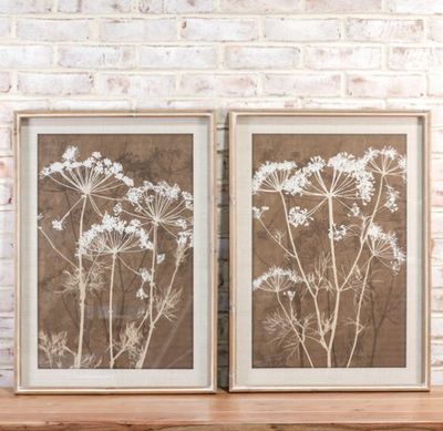 **Botanical Wall Art asstd.