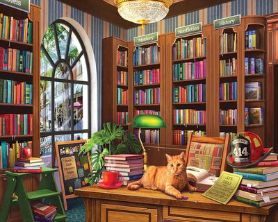 White Mountain Public Library 1,000 pc