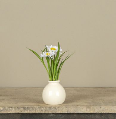 7” White Daisy in White Pot