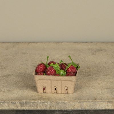 Carton of Strawberries