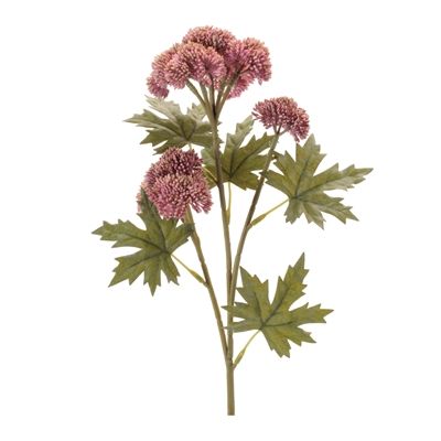 Sedum Spray 28.5”