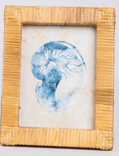 Framed Art - Seashells in Rattan Frame Md