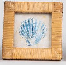 Framed Art - Seashells in Rattan Frame mini