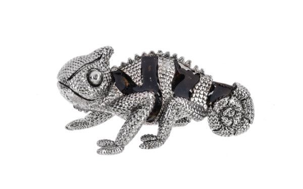 The Color Changing Chameleon Charm