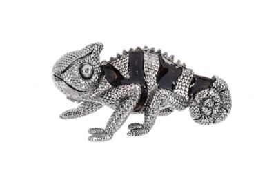 The Color Changing Chameleon Charm