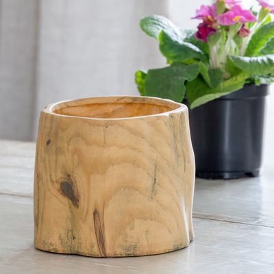 Faux Bois Garden Forest Pot 5”