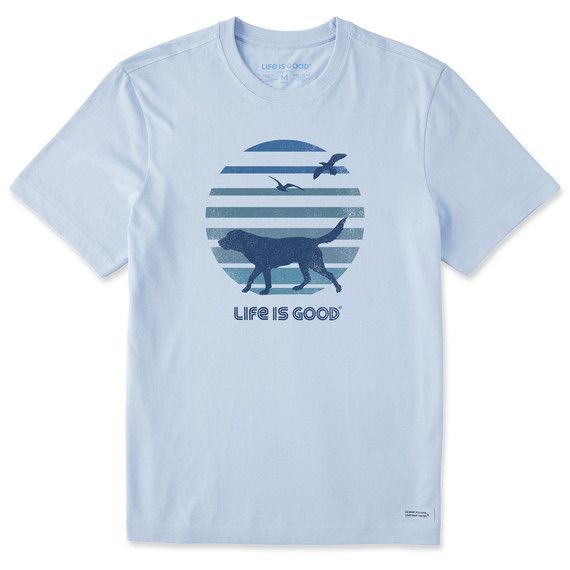 Mens 70s Retro Dog Beach Walk Tee by Life is Good, Size: M
