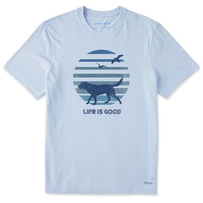 Mens 70s Retro Dog Beach Walk Tee by Life is Good