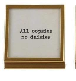 Metal &amp; Glass Frame w/Easel All Oopsies