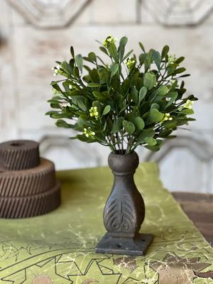 Connemara Greens Bush 11”