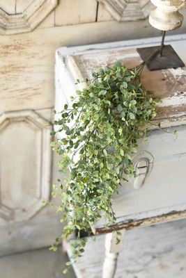 Seraph Vine Hanging 34”