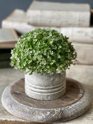 Elfin Blooms Half Sphere 7”