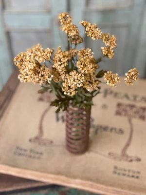 Fennel Flower Bundle Mustard 13”