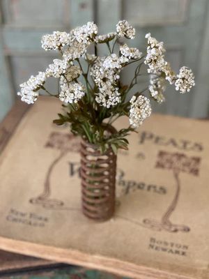Fennel Flower Bundle Cream 13”