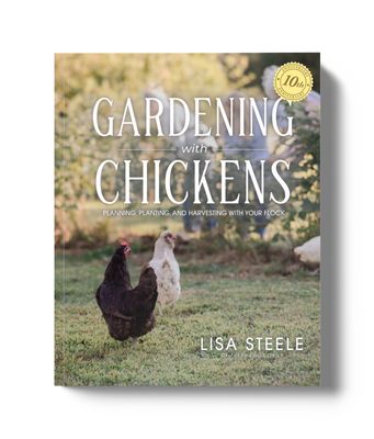 Gardening with Chickens