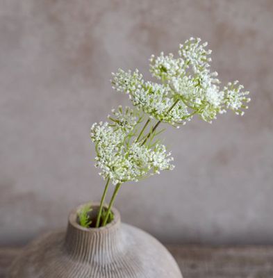 Queen Anne’s Lace Stem 20”