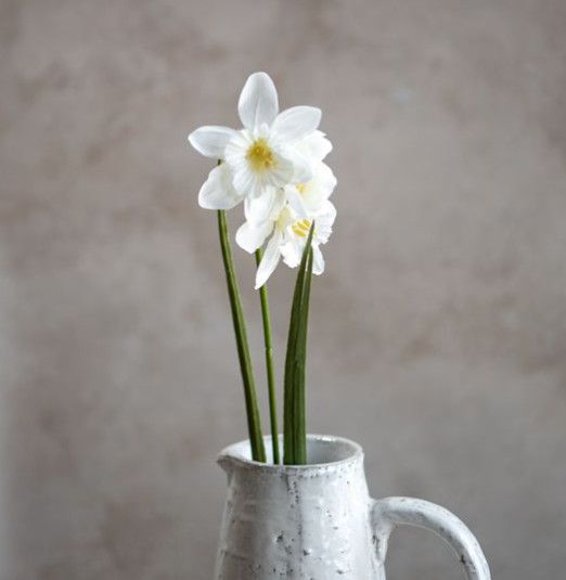 White Daffodils Stems 21.6”