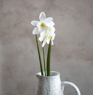 White Daffodils Stems 21.6”
