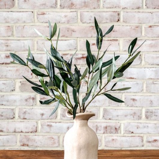 Olive Stem Bundle 18”