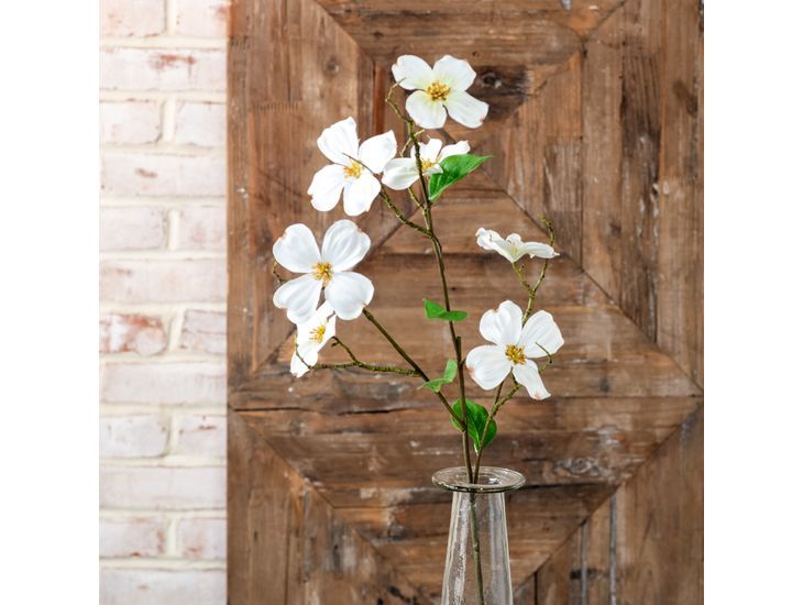 White Dogwood Flower Stem
