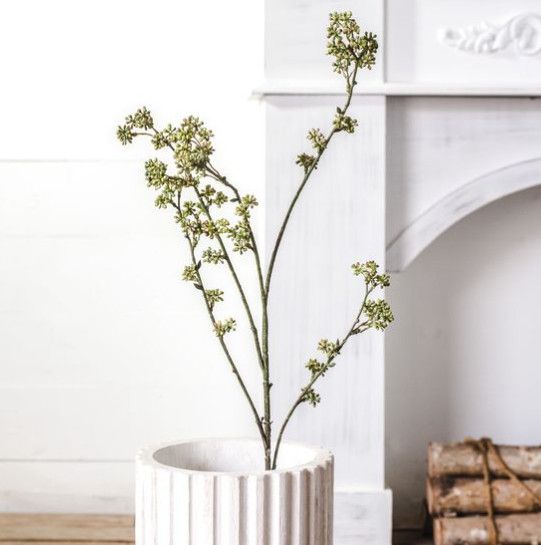 Rice Flower Stem 35”