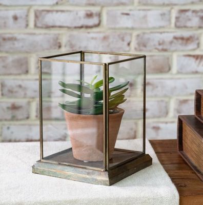 Aged Antique Glass Display Case