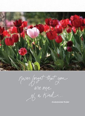 Never forget that you are one of a kind. - Birthday Card