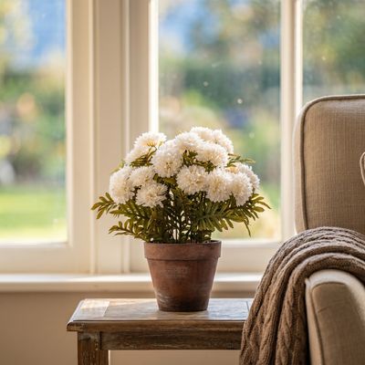 13" Potted Cream Mums