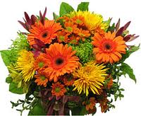 GERBERE E FIORI DI CAMPO