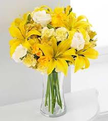 LILIUM E ROSE