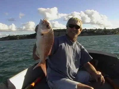 Winter: hunting snapper in shallow water