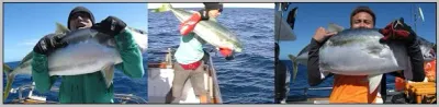 Jigging New Zealand