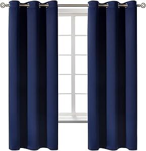 Window Curtain